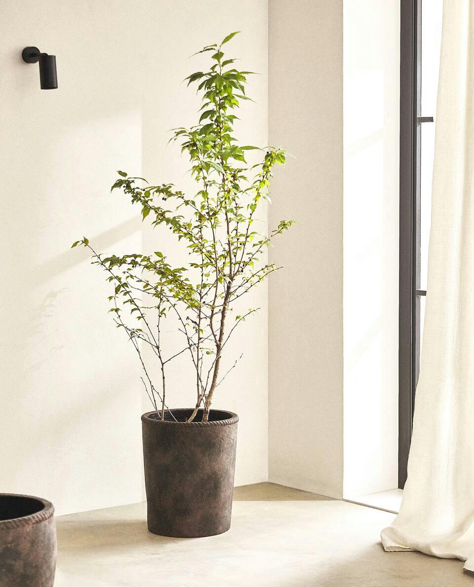 TALL DISTRESSED FLOWERPOT