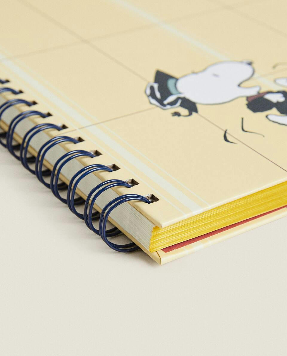 PEANUTS? NOTEBOOK