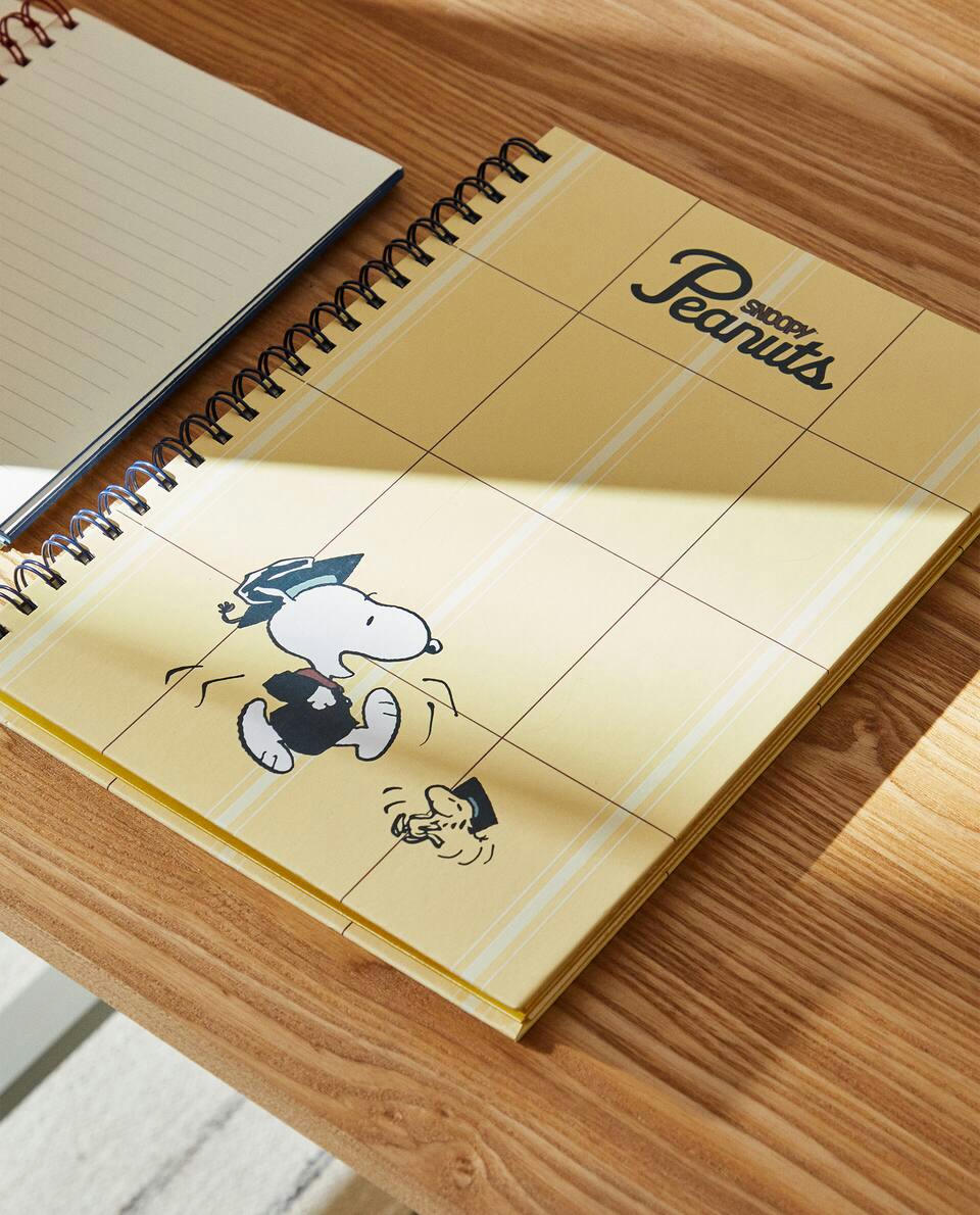 PEANUTS? NOTEBOOK