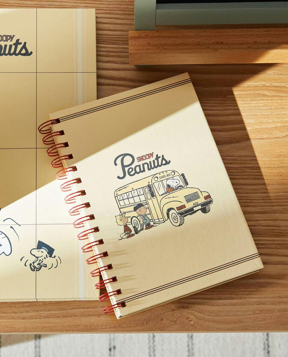 PEANUTS? NOTEBOOK