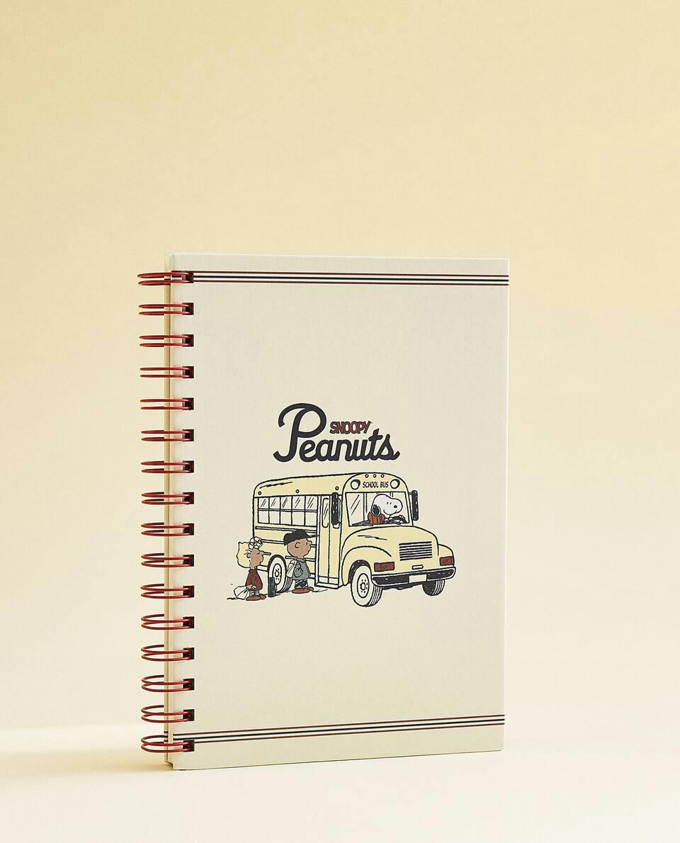 PEANUTS? NOTEBOOK