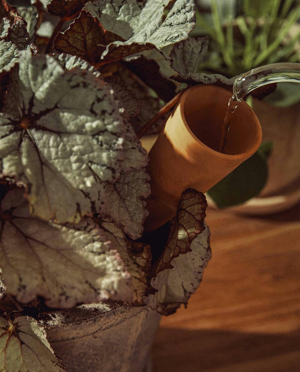 TERRACOTTA WATERING ACCESSORY