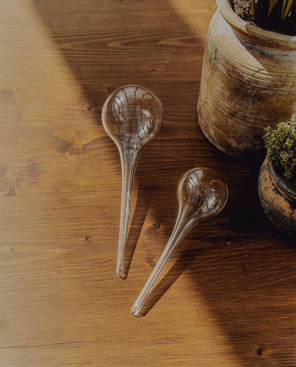 BOROSILICATE GLASS SELF-WATERING BUBBLE