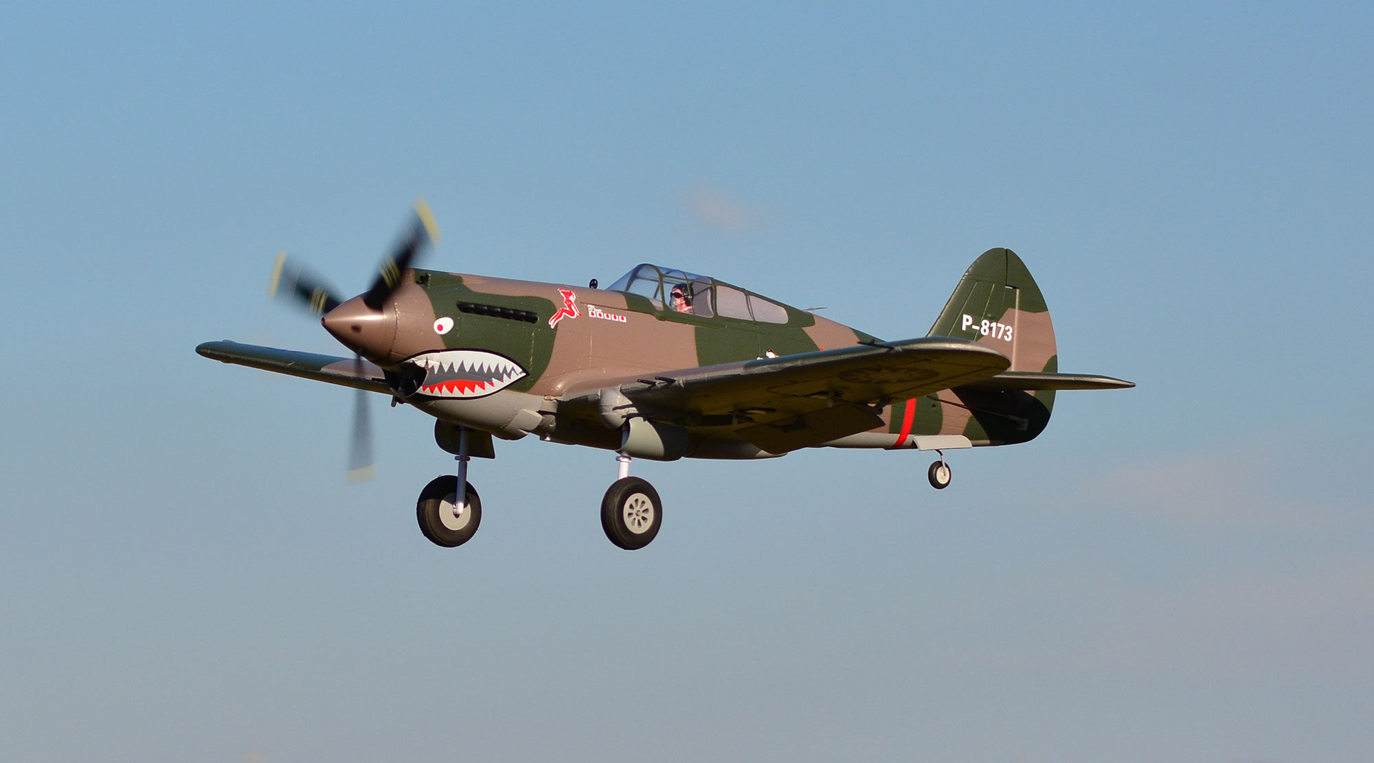 FMS P-40B Flying Tiger PNP, 980mm