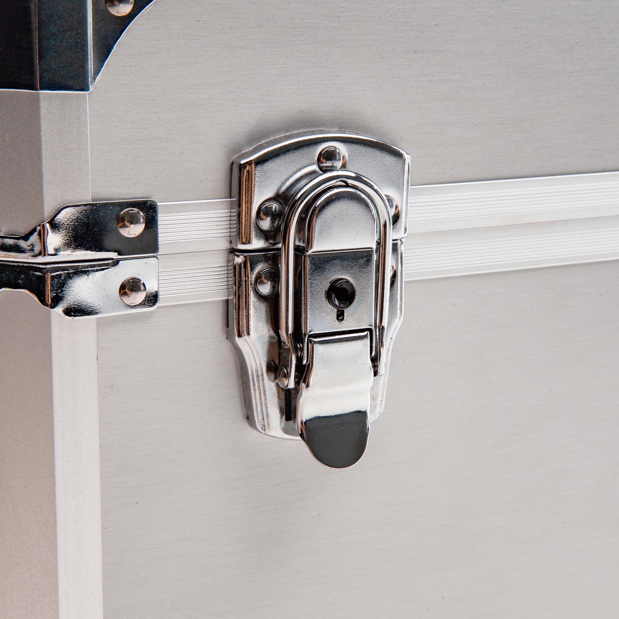 Spektrum Spektrum Dual Aluminum Stand Up Transmitter Case