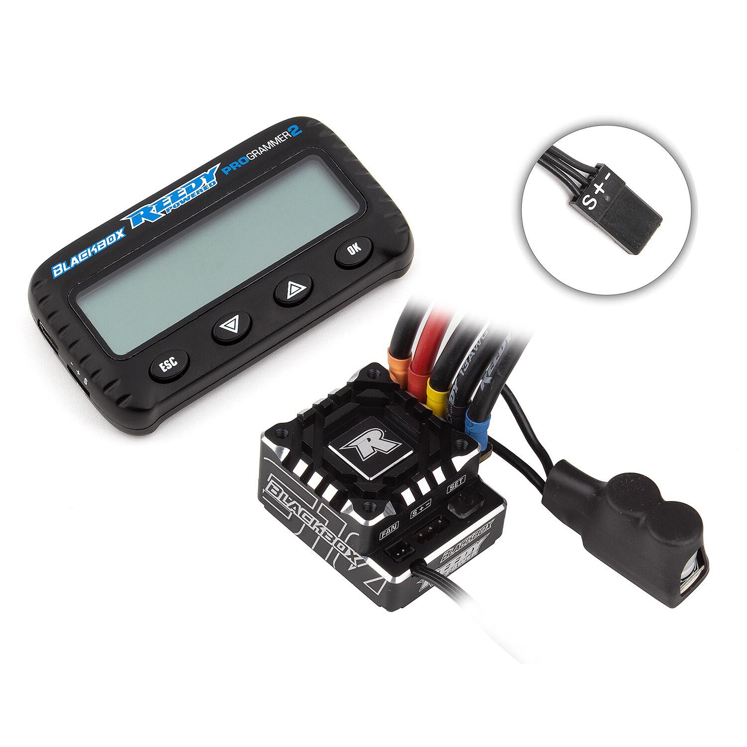 Team Associated Blackbox 610R Competition ESC with Programmer
