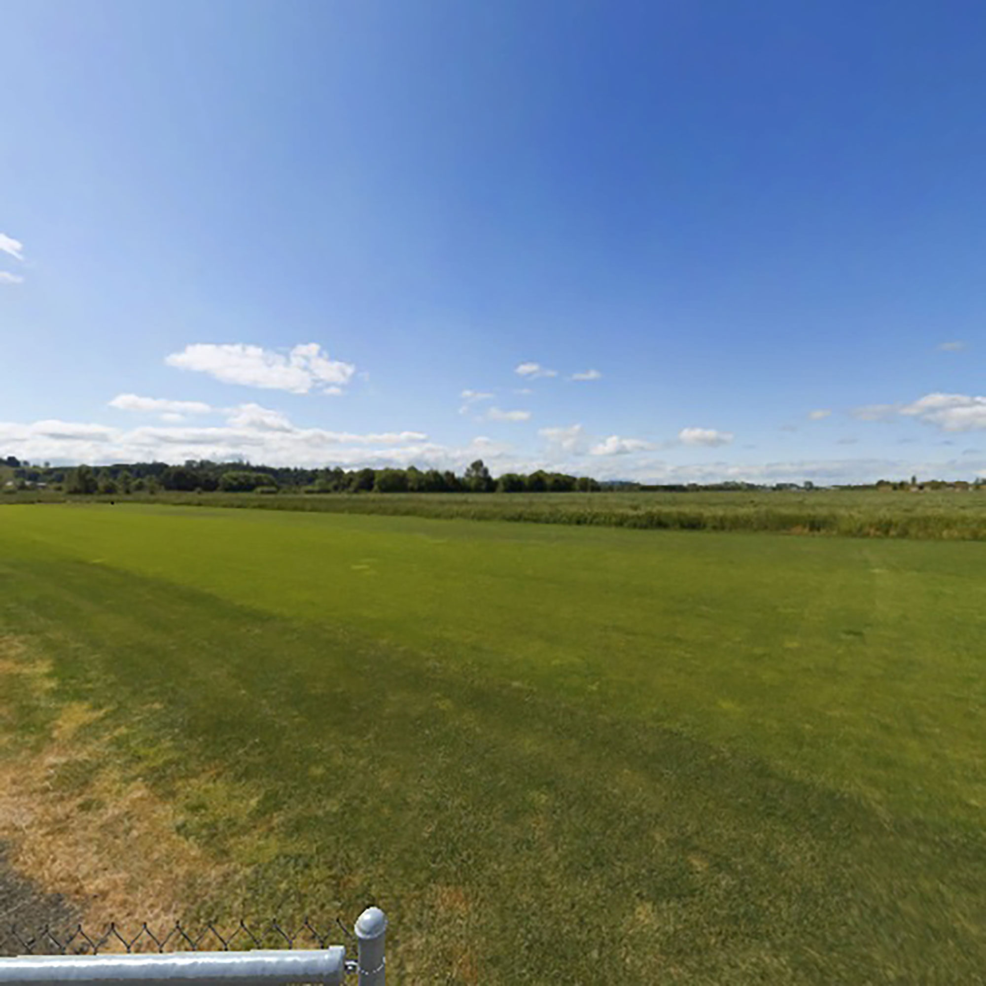 RealFlight RealFlight Trainer Edition RC Flight Simulator with WS2000 Wireless Simulator USB Dongle