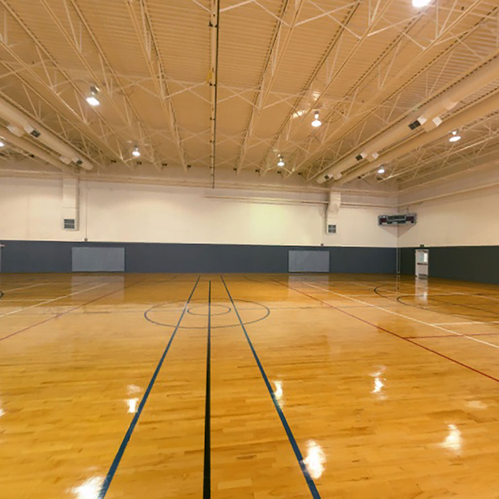 RealFlight RealFlight Trainer Edition RC Flight Simulator with WS2000 Wireless Simulator USB Dongle