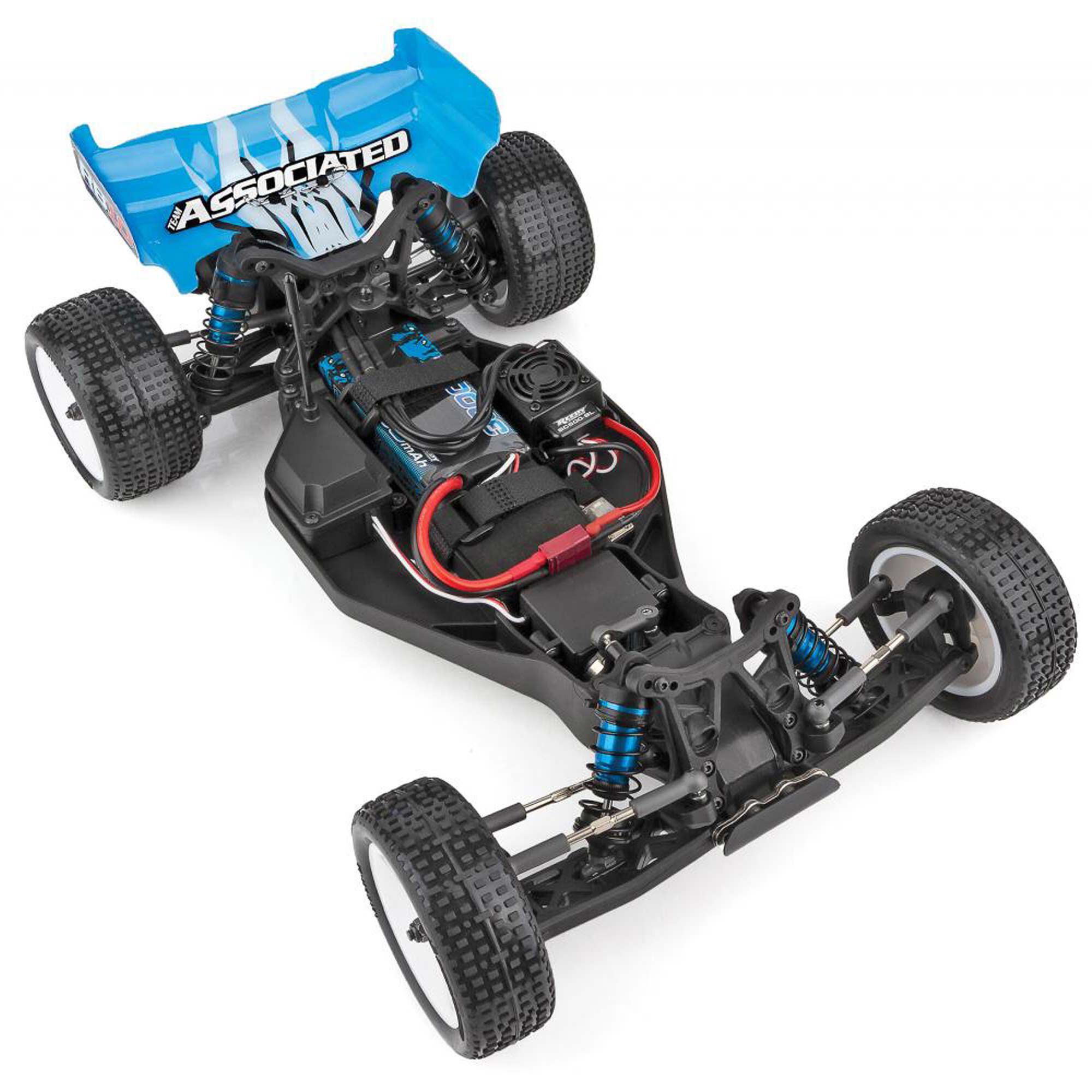 Team Associated 1/10 RB10 2WD Buggy RTR, Blue