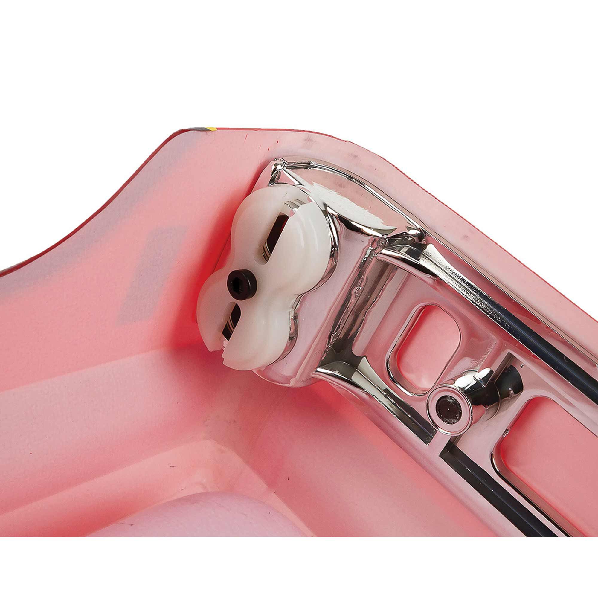 Team Associated 1/12 MT12 Monster Truck Red RTR