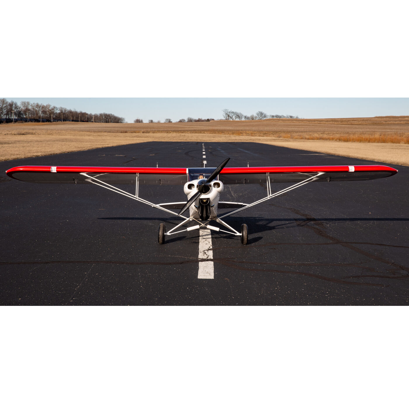 Hangar 9 CubCrafters Carbon Cub FX-3 100-200cc ARF, 165"
