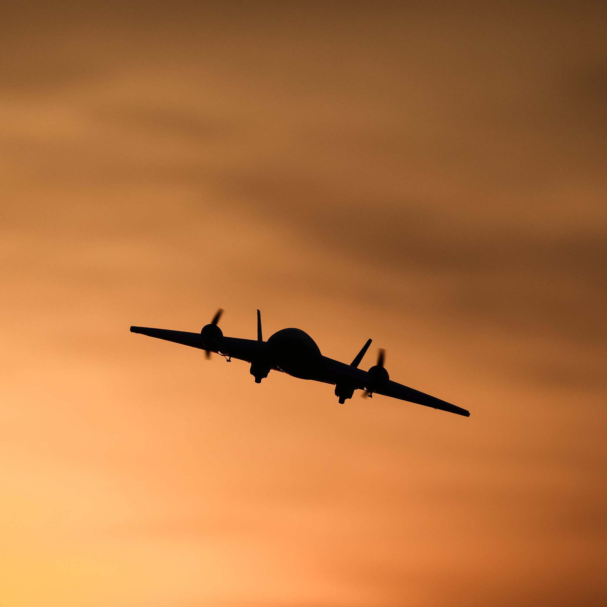 E-flite Ultrix 600mm BNF Basic