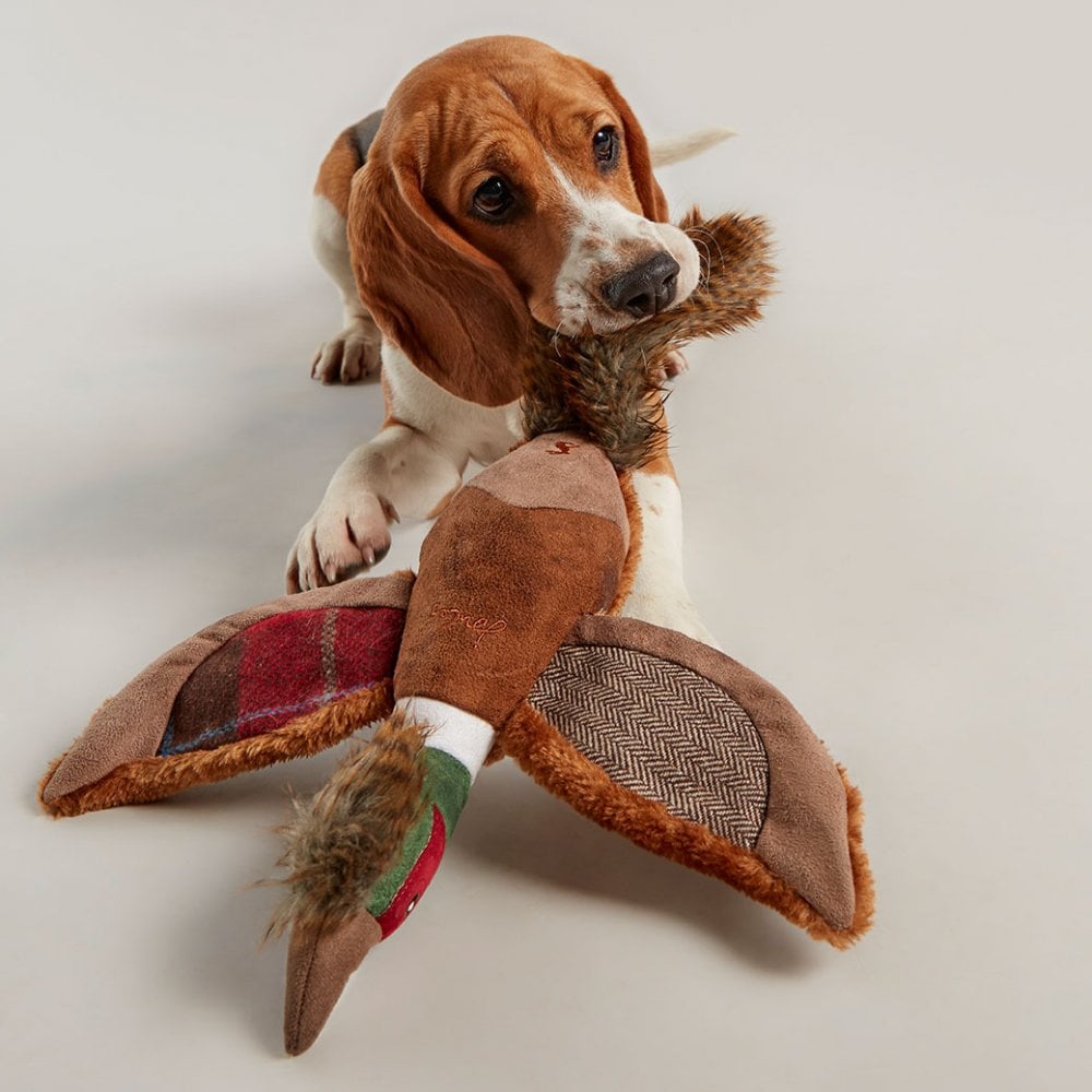 Joules Pheasant Dog Toy