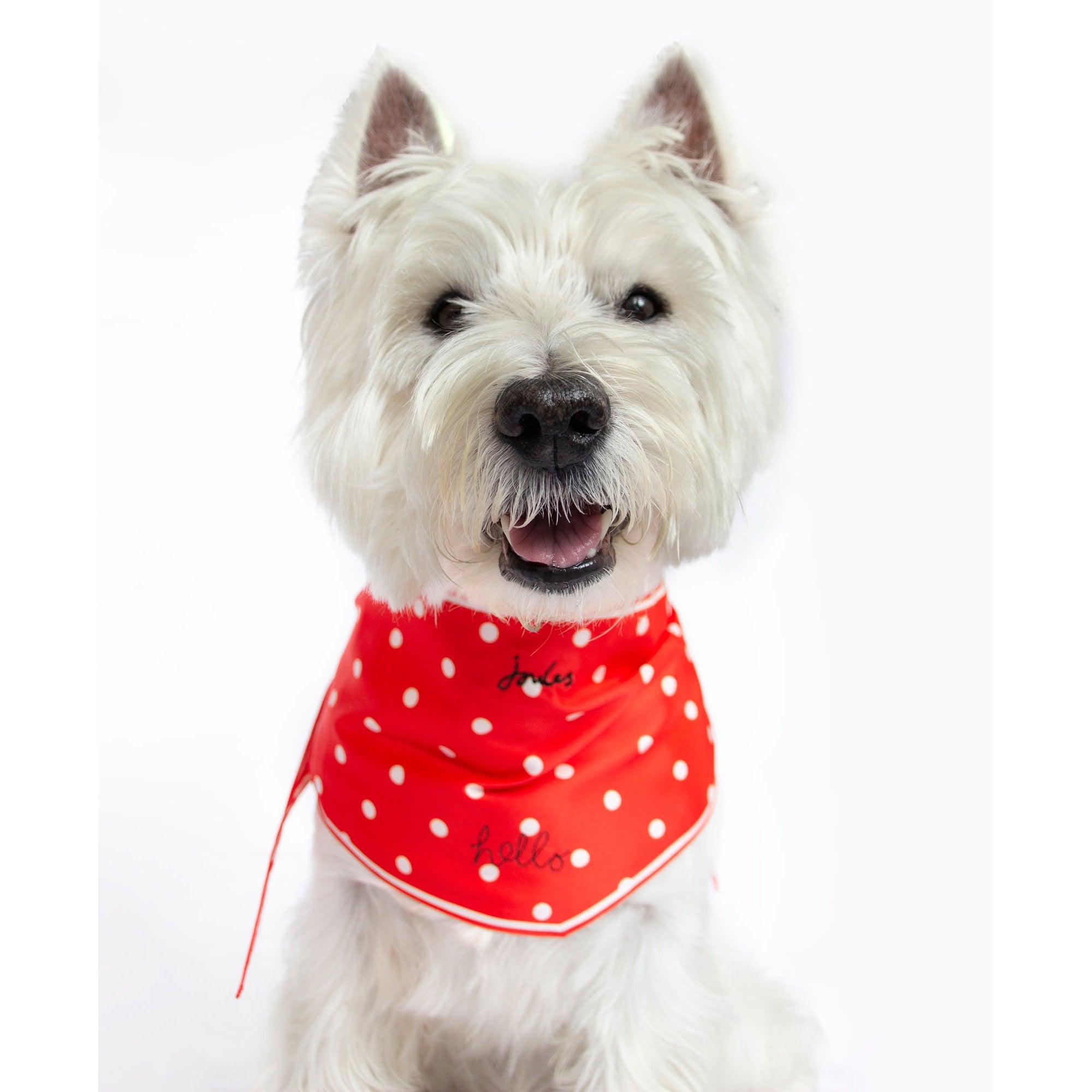 Joules Neckerchief for Dogs