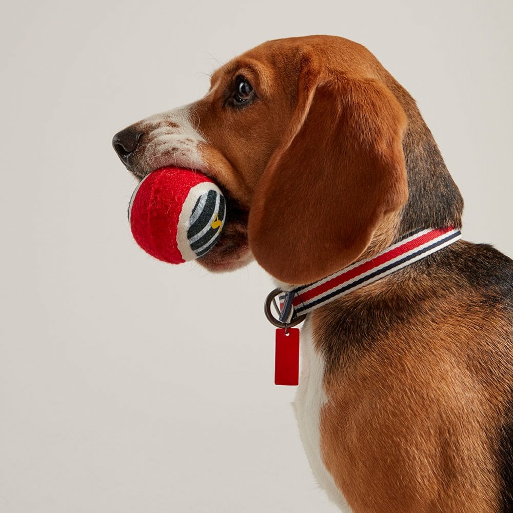 Joules Outdoor Balls for Dogs (3 Pack)