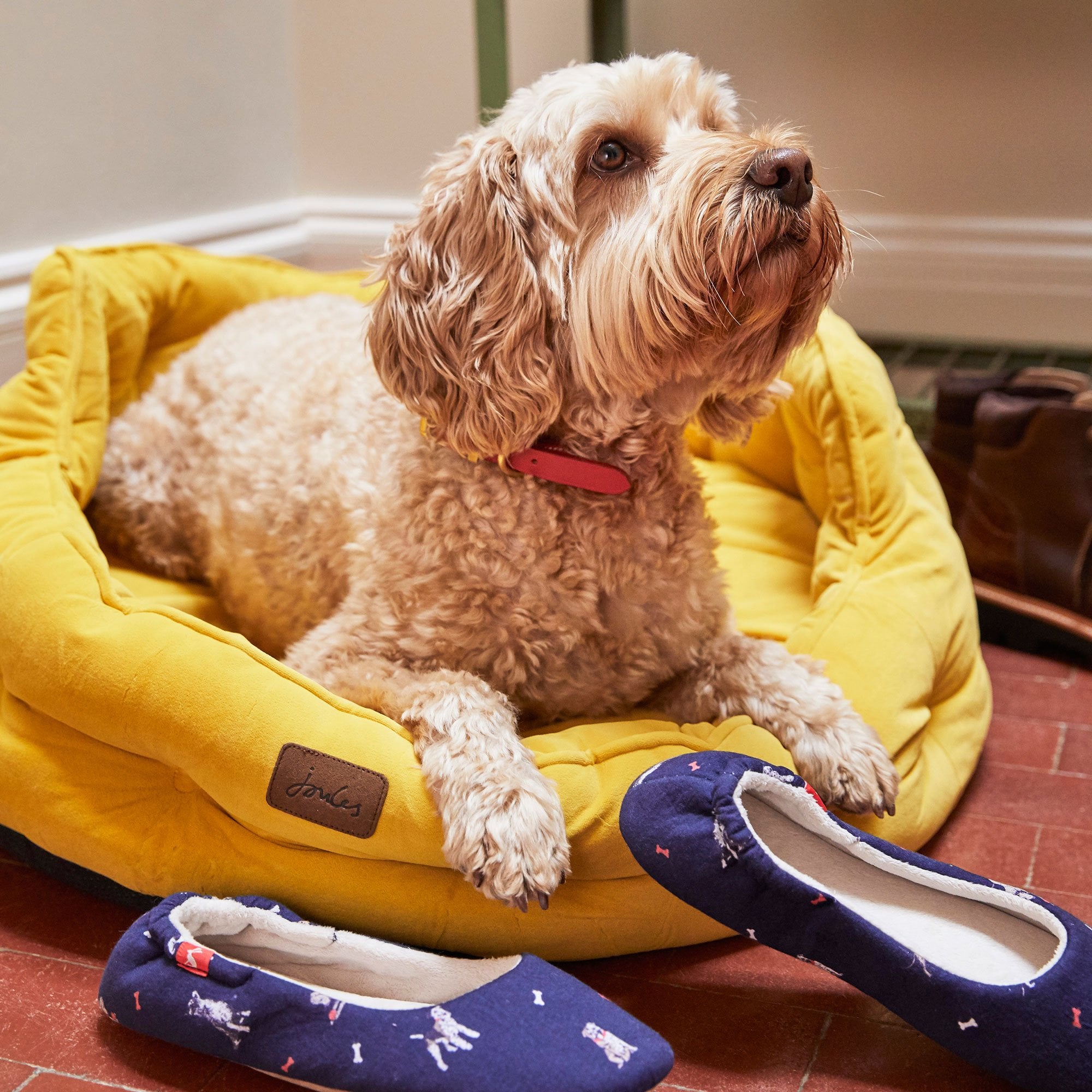 Joules Velvet Chesterfield Dog Bed