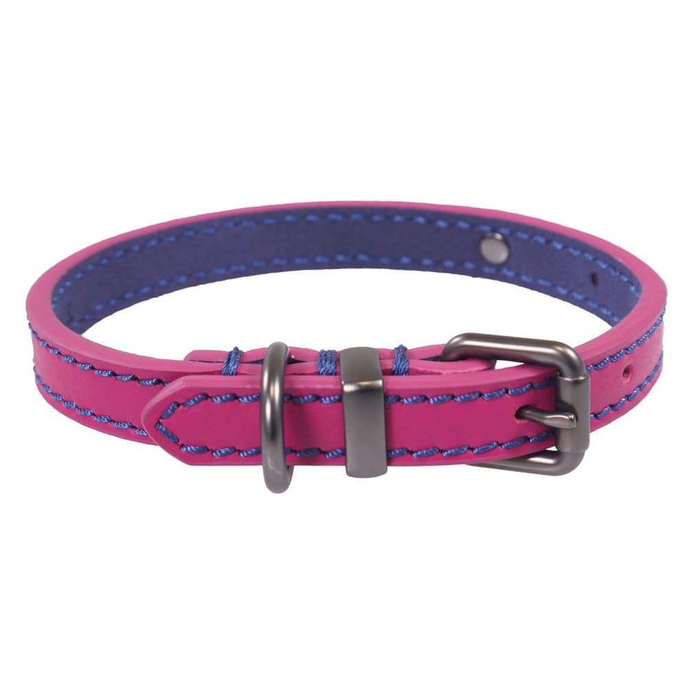Joules Leather Dog Collar