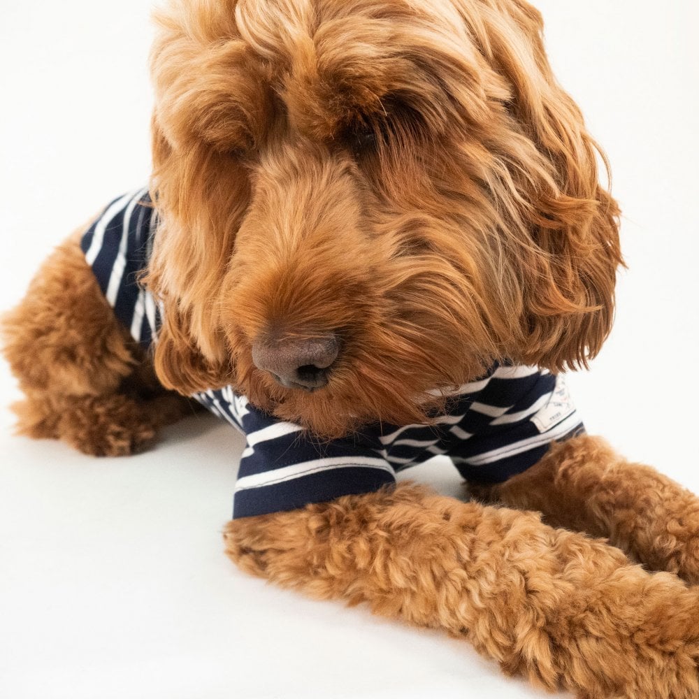 Joules Harbour Top for Dogs