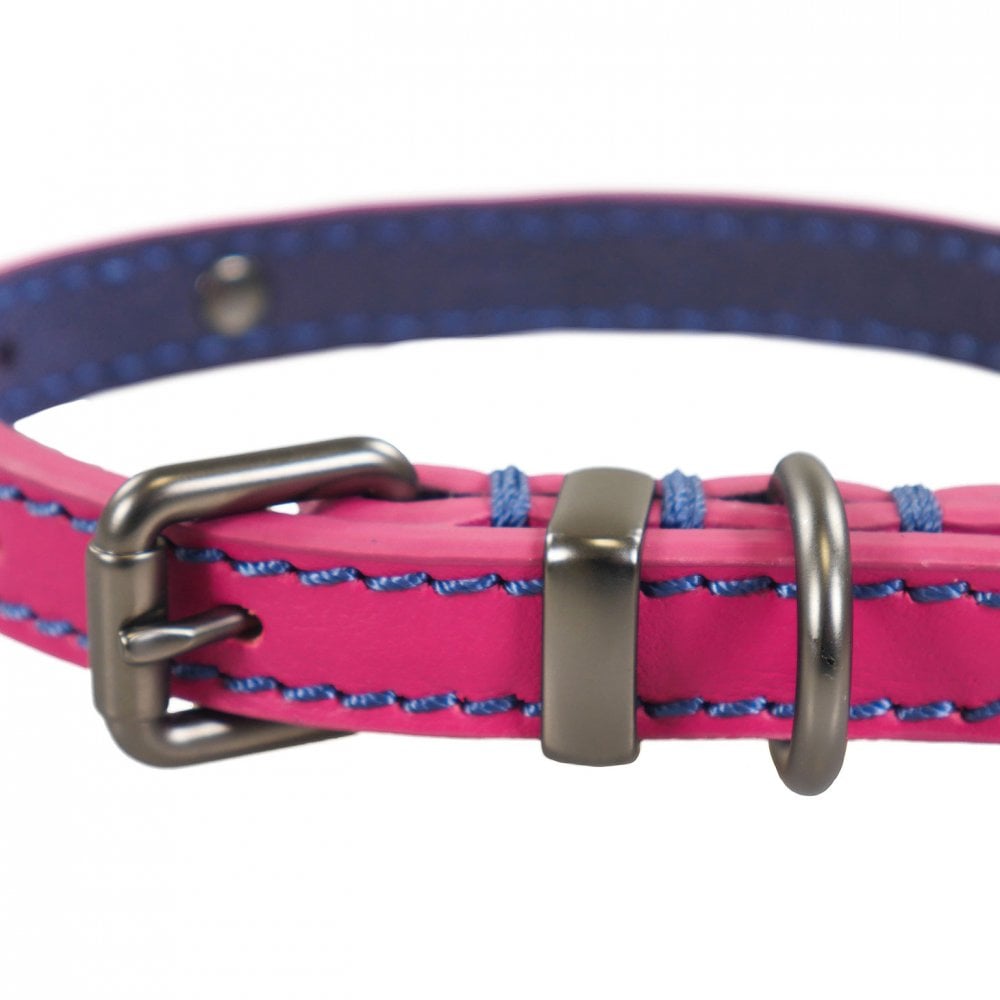 Joules Leather Dog Collar
