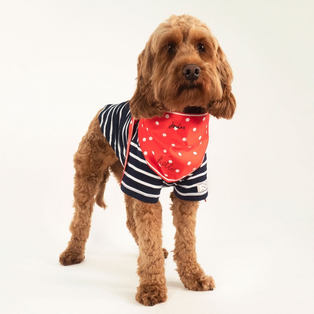 Joules Neckerchief for Dogs