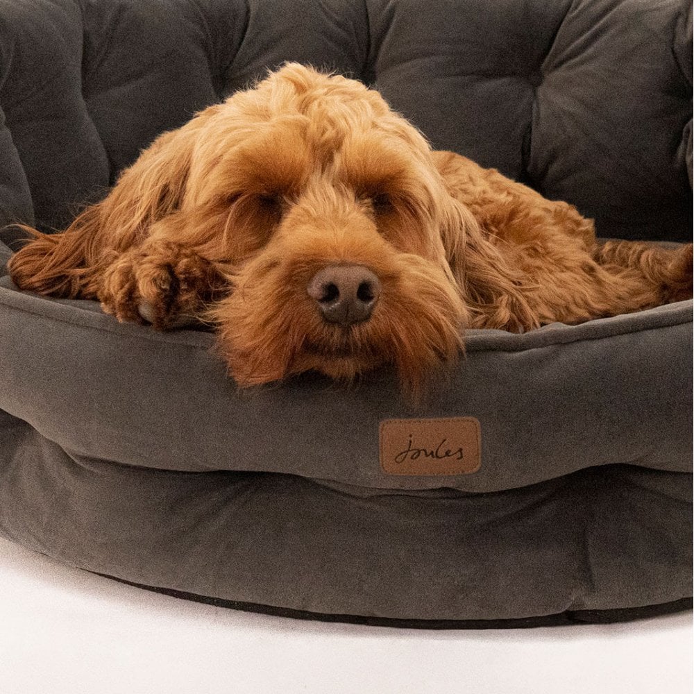 Joules Velvet Chesterfield Dog Bed