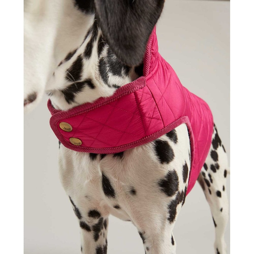 Joules Newdale Quilted Dog Coat