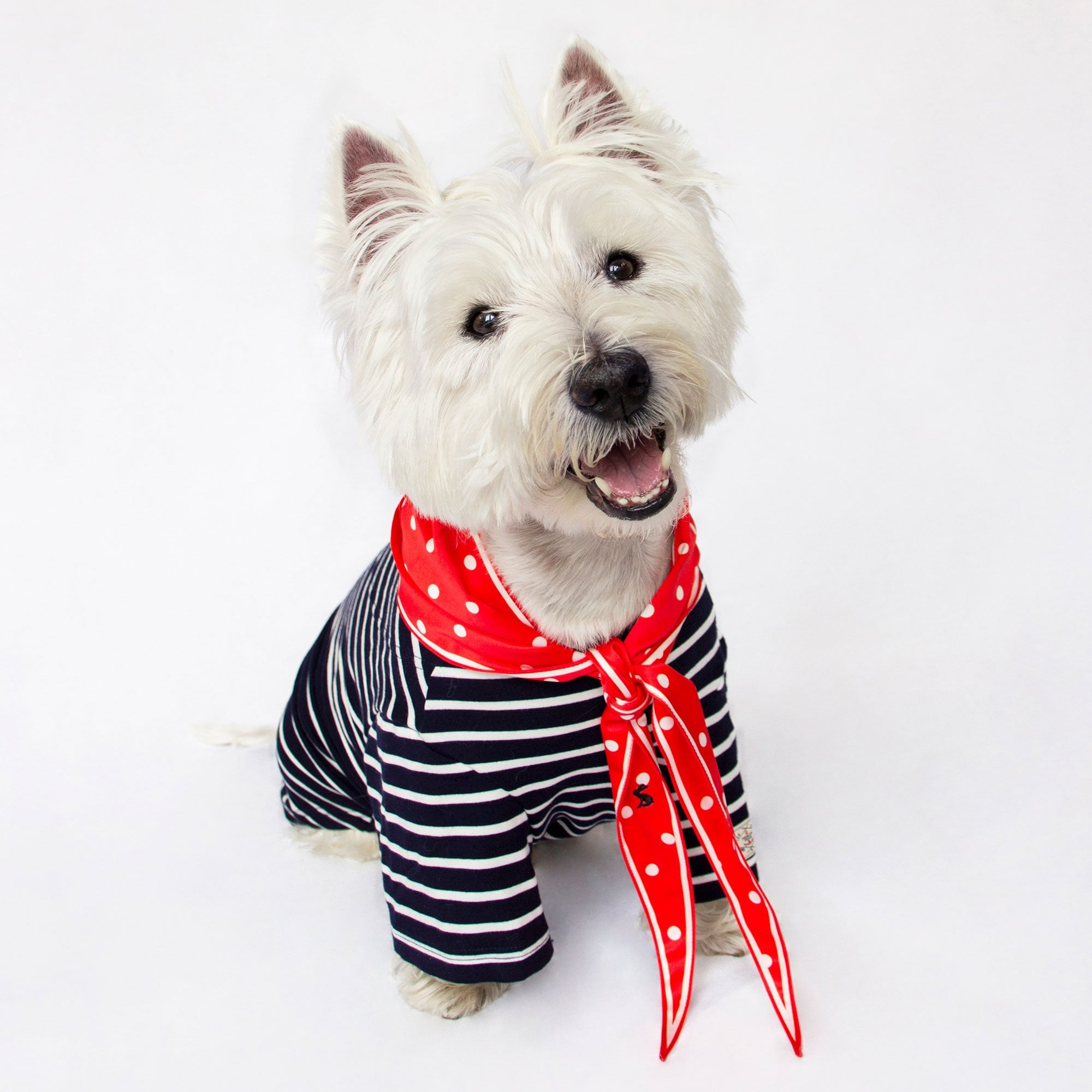 Joules Neckerchief for Dogs