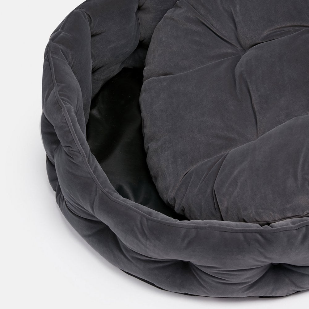 Joules Velvet Chesterfield Dog Bed