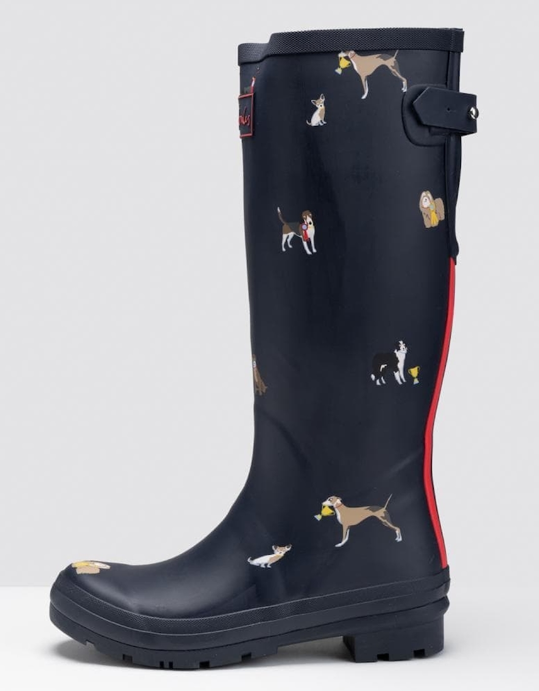 Joules With Adjustable Back Gusset Welly