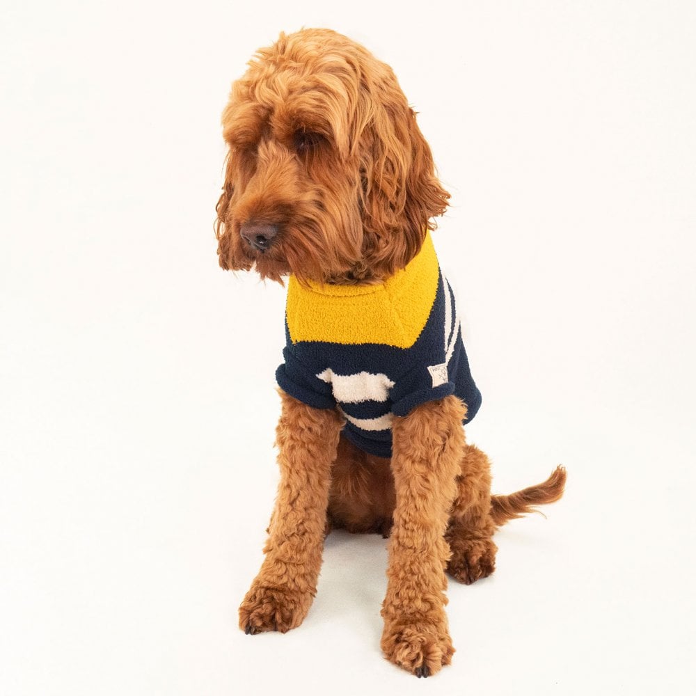 Joules Coastal Jumper for Dogs