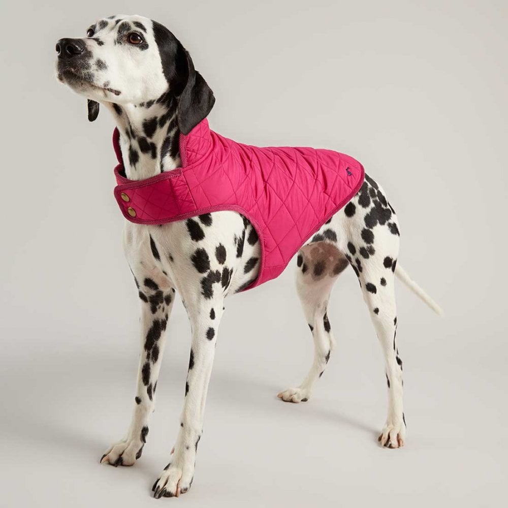 Joules Newdale Quilted Dog Coat