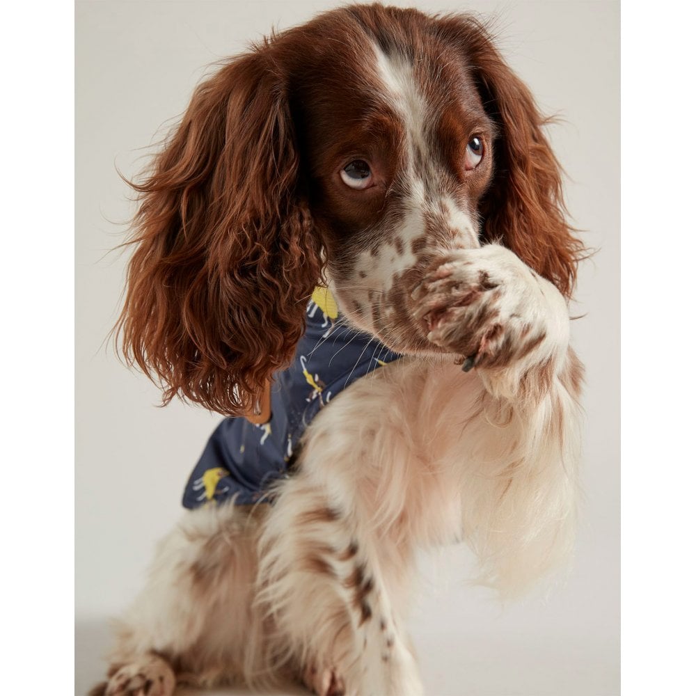 Joules Water Resistant Printed Raincoat for Dogs