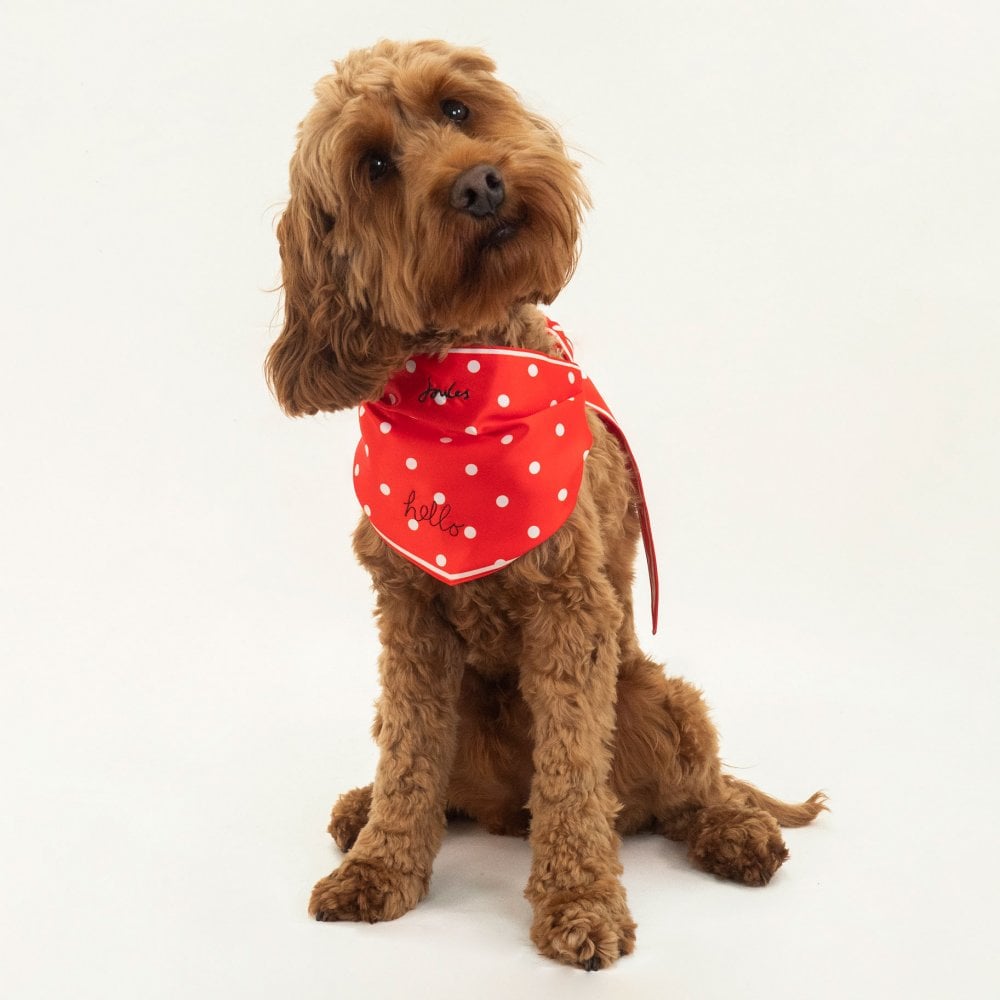 Joules Neckerchief for Dogs