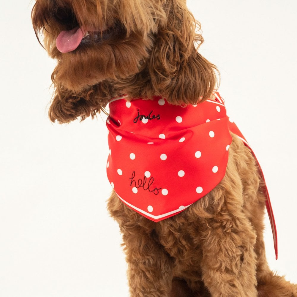 Joules Neckerchief for Dogs