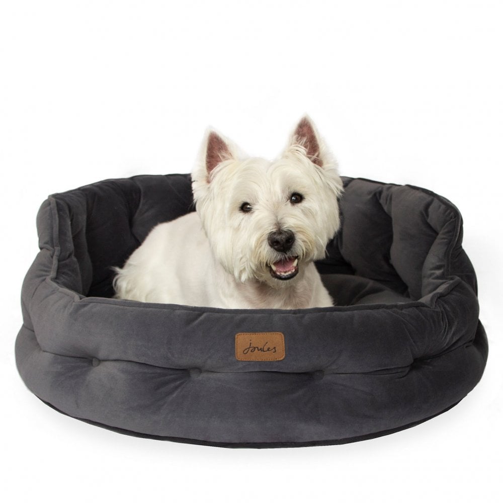Joules Velvet Chesterfield Dog Bed