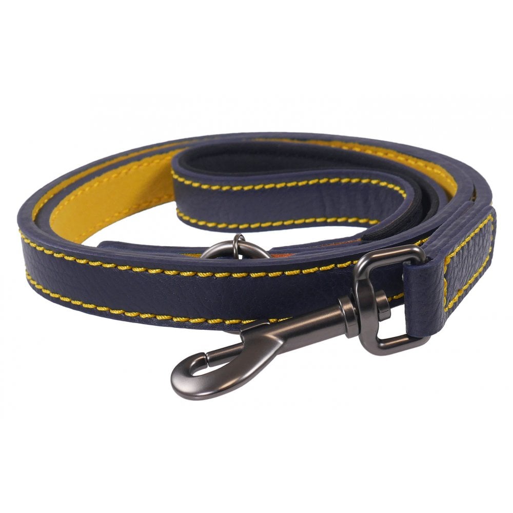 Joules Leather Dog Lead