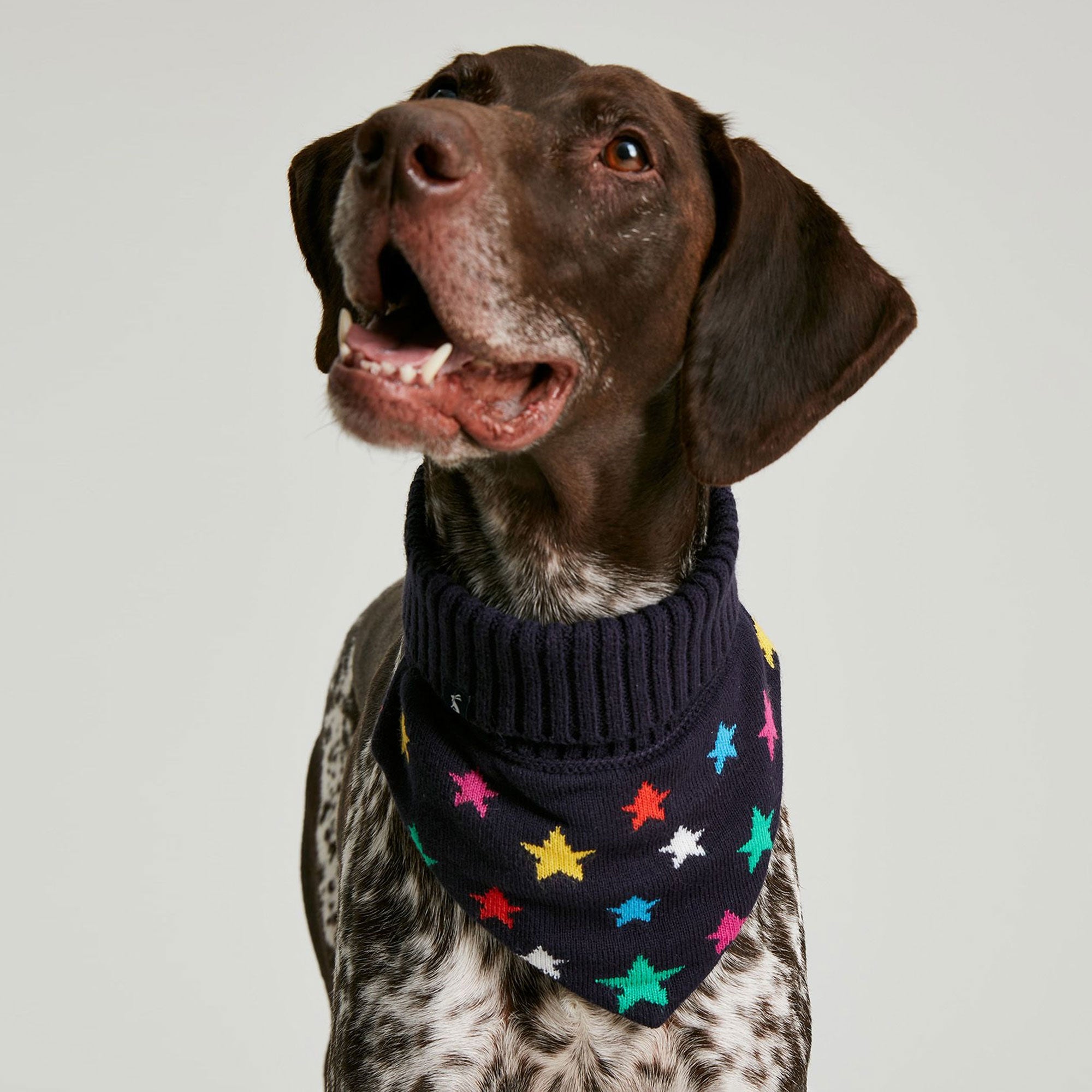 Joules Knitted Christmas Dog Neckerchief