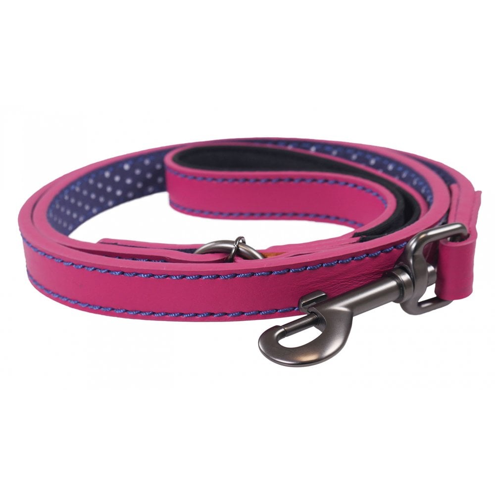 Joules Leather Dog Lead