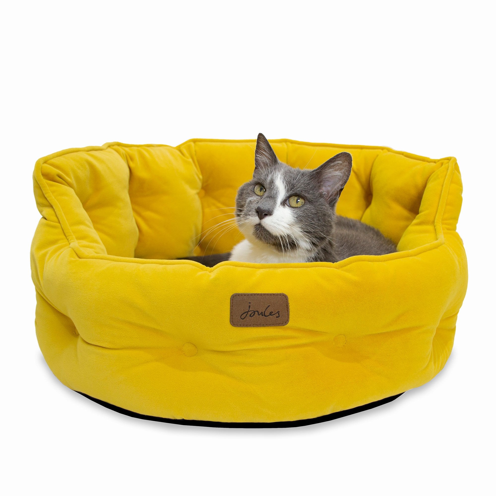 Joules Velvet Chesterfield Dog Bed