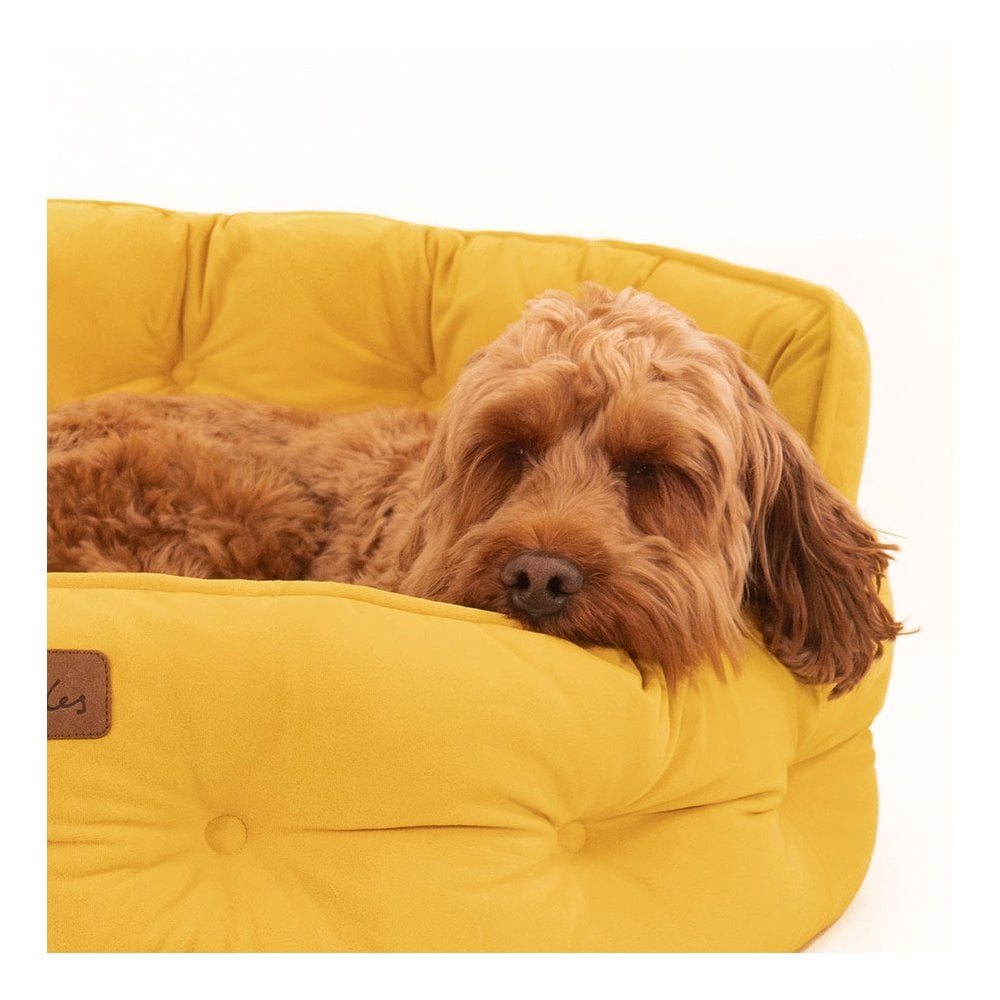 Joules Velvet Chesterfield Dog Bed