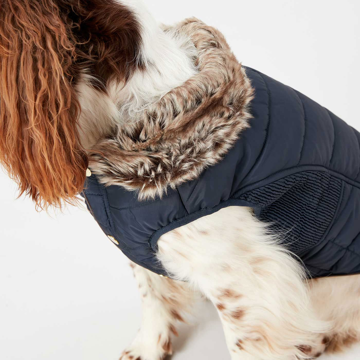 Joules Cherrington Dog Coat