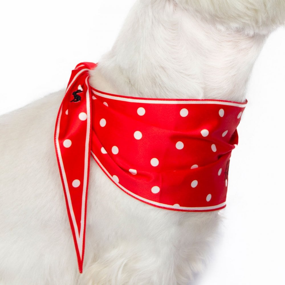 Joules Neckerchief for Dogs