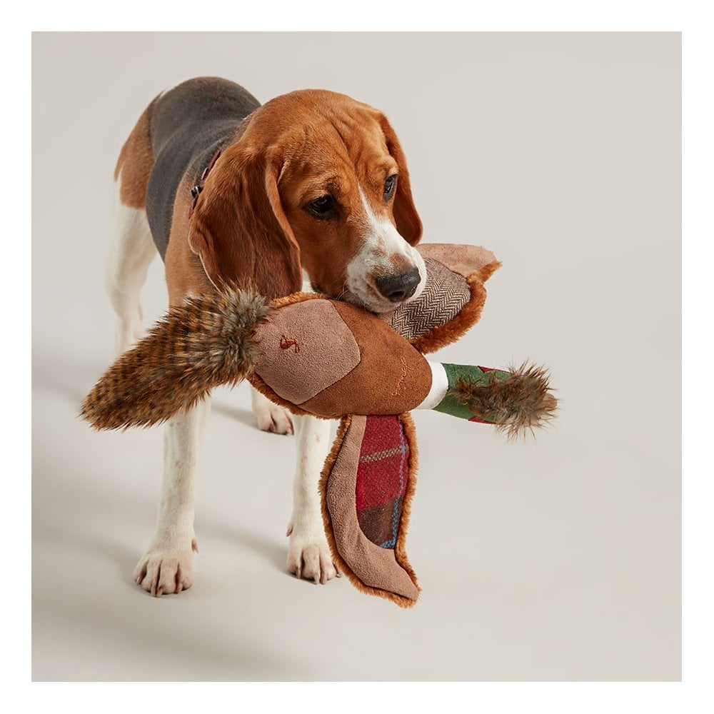 Joules Pheasant Dog Toy