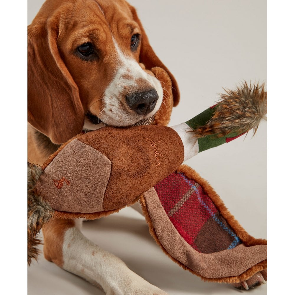 Joules Pheasant Dog Toy
