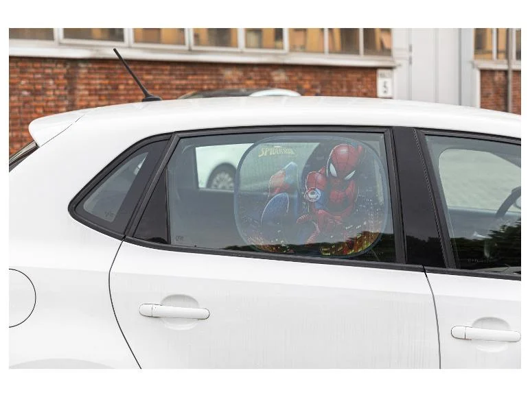 Lot de 2 pare-soleils pour voiture