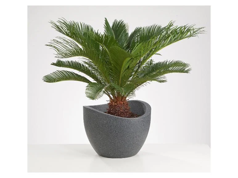 Scheurich Pot à plantation Wave Globe