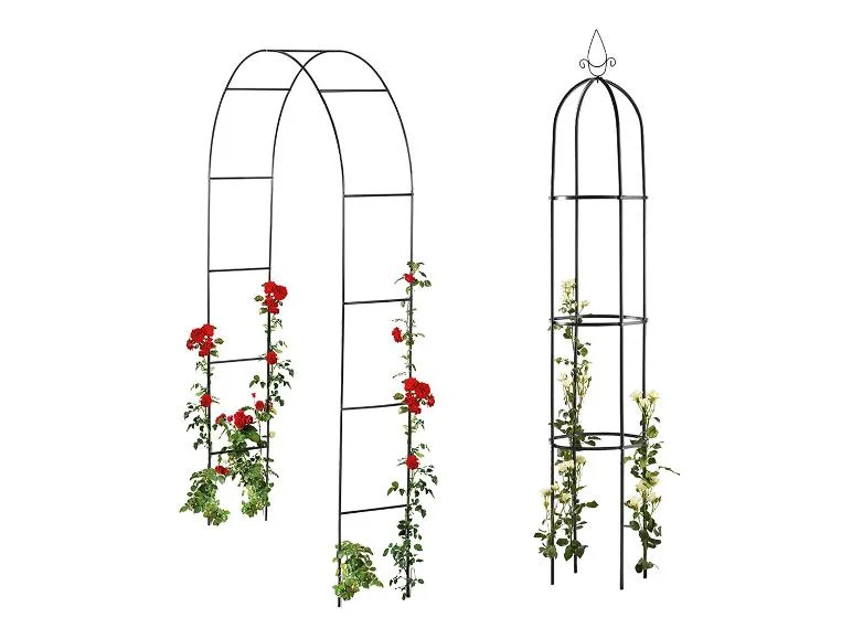 Arche pour rosiers ou Tuteur colonne