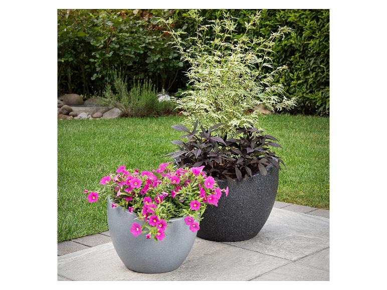 Scheurich Pot à plantation Wave Globe