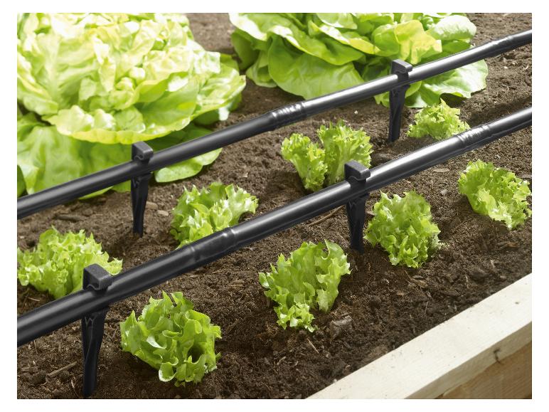 Set d'arrosage goutte-à-goutte