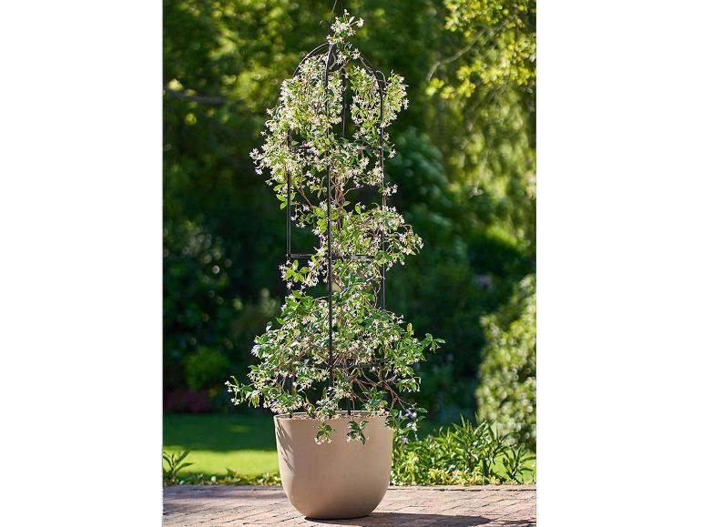 Arche pour rosiers ou Tuteur colonne